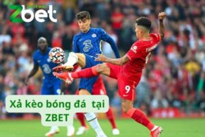 đại diện xả kèo bóng đá zbet