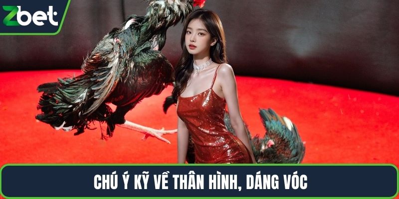 Chú ý kỹ về thân hình, dáng vóc