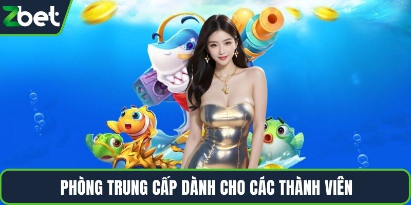 Phòng Trung Cấp dành cho các thành viên