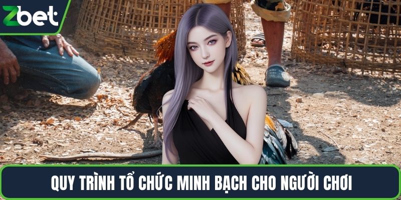 Quy trình tổ chức minh bạch cho người chơi