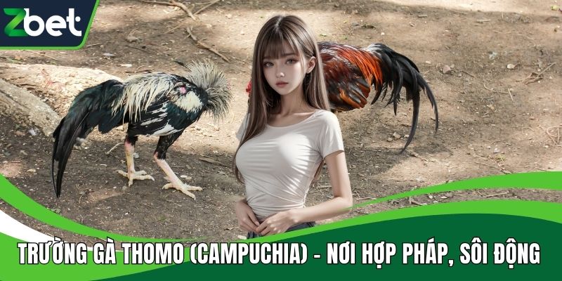 Trường gà Thomo (Campuchia)